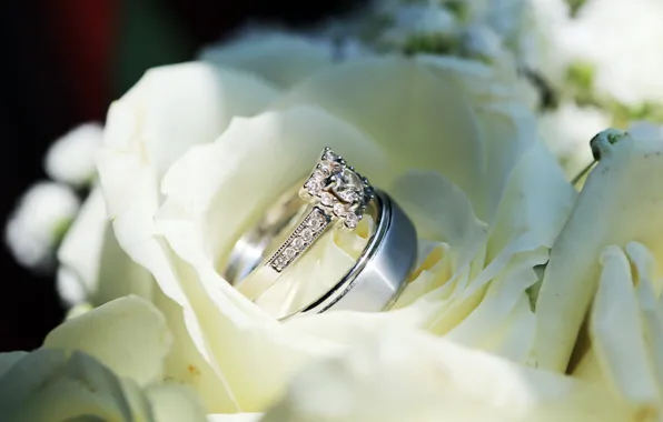 Flowers, roses, ring, white, wedding