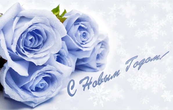 Picture snowflakes, roses, congratulations
