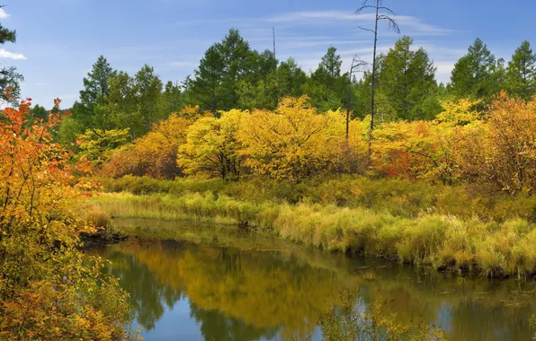 Picture autumn, the sky, water, clouds, Lesya river