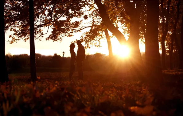 GIRL, GRASS, FEELINGS, SUNSET, TREES, GUY, DAWN, SILHOUETTES