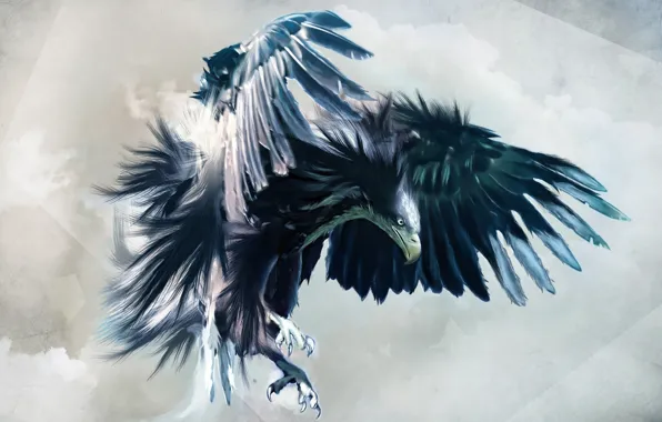 Bird, jet, kil