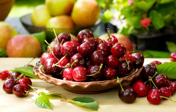 Cherry, berries, bowl, fresh, cherry, sweet, cherry, berries