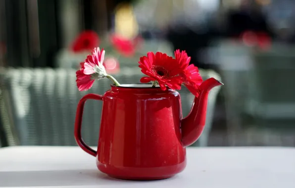 Flowers, background, kettle
