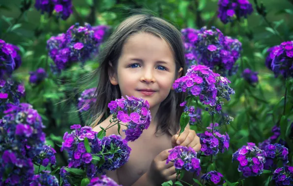 Look, portrait, girl