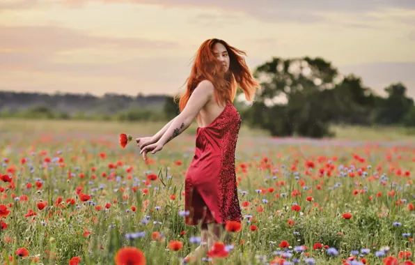 The sky, girl, trees, flowers, nature, pose, Maki, the evening