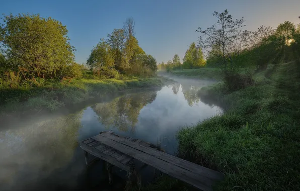 Summer, the sun, rays, landscape, nature, fog, morning, Bank