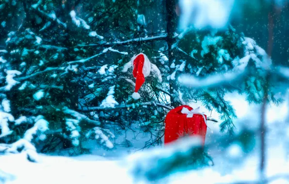 Winter, forest, snow, New year, Gift