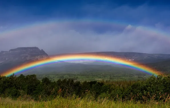 Field, forest, the sky, rainbow, space