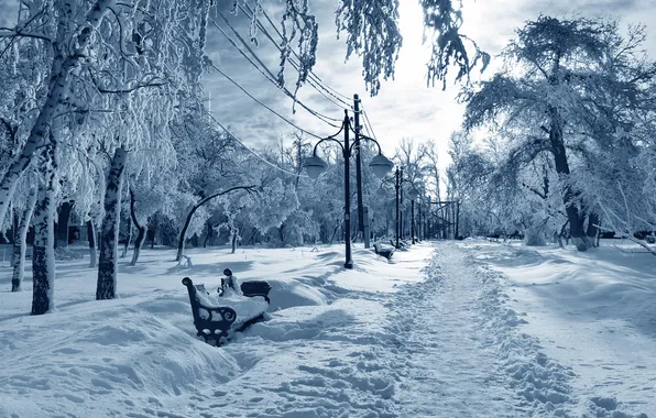 Winter, the sky, snow, trees, landscape, bench, nature, Park