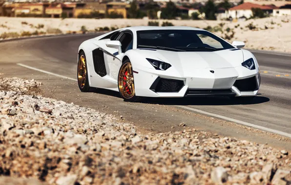 Picture Lamborghini, Power, Front, White, LP700-4, Aventador, Road, Supercar