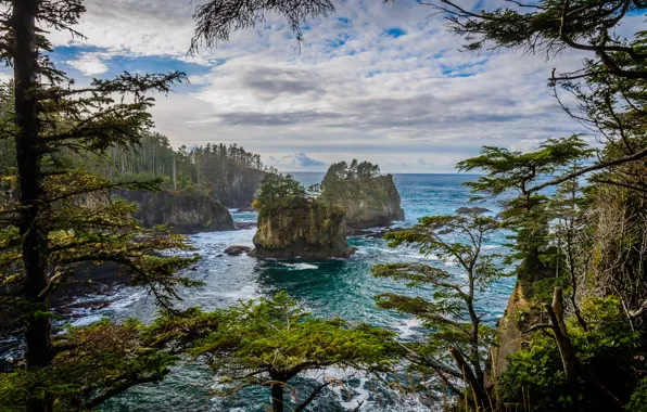 Sea, the sky, clouds, trees, rocks, island