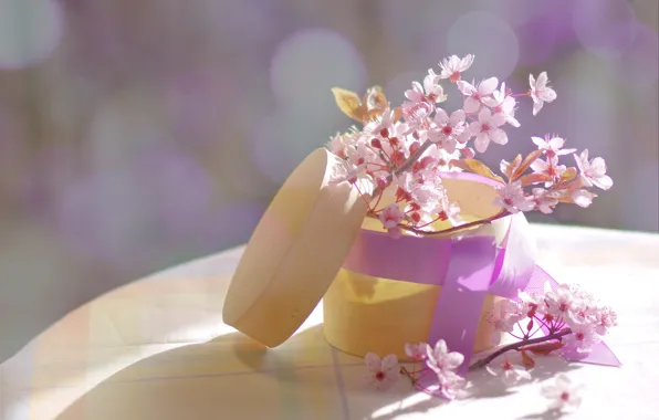 Light, flowers, sprig, table, box, gift, round, shadow