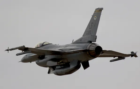 Picture fighter, F-16, Fighting Falcon, multipurpose