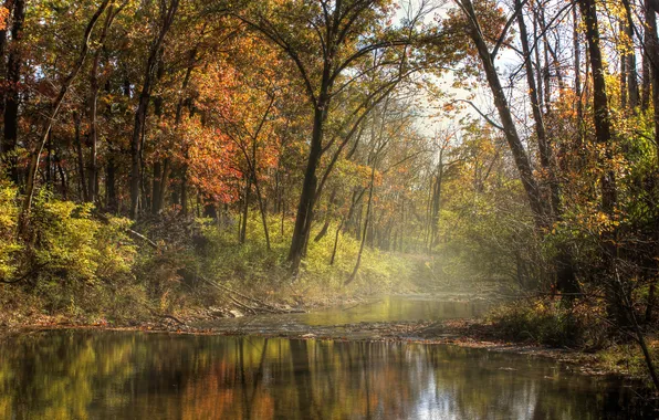 Picture autumn, forest, river