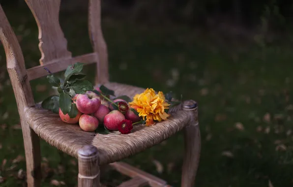 Picture apples, sunflower, chair