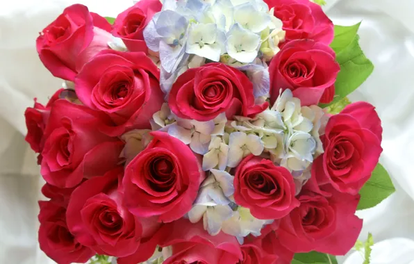 Photo, Flowers, Bouquet, Roses, Hydrangea