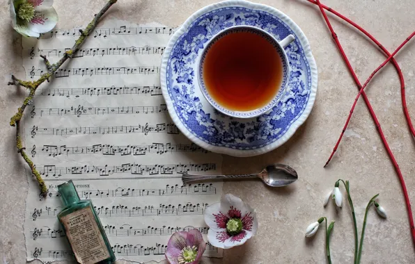 Picture branches, notes, tea, bottle, snowdrops, spoon, Cup, hellebore