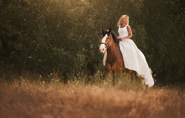 Field, girl, nature, horse, woman, horse, top, on horseback