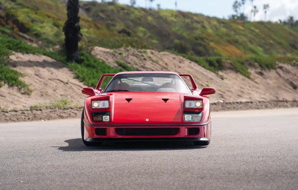 Picture Ferrari, F40, 1990, Ferrari F40