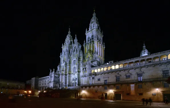 Night, lights, area, Cathedral, Spain