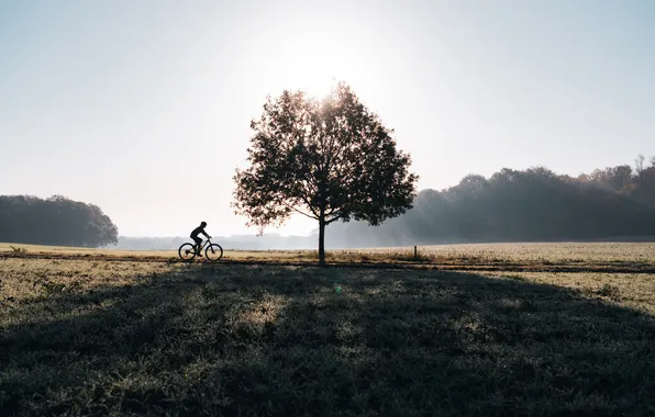 Nature, sport, morning, cyclist, walk, athlete, lifestyle, Cycling