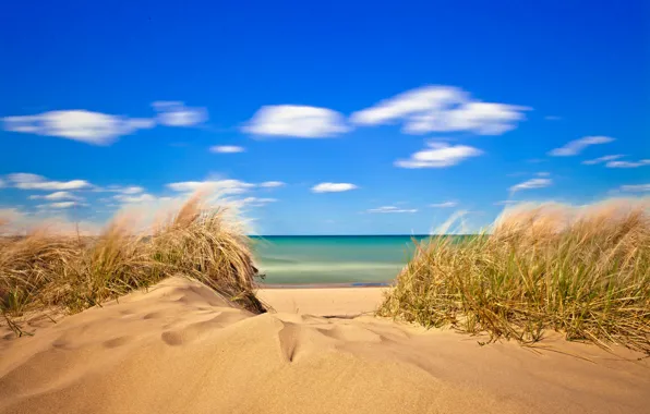 Sand, sea, the sky, grass, clouds