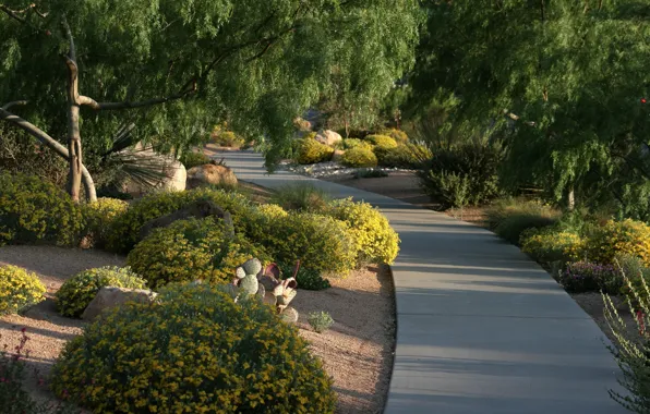 Greens, summer, green, plants, garden, track, Park, summer