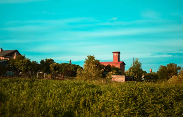 Picture the sky, grass, building, Russia, Kaliningrad