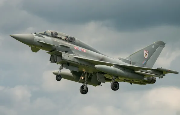 Picture flight, flies, the gray sky, Eurofighter Typhoon, combat Samet