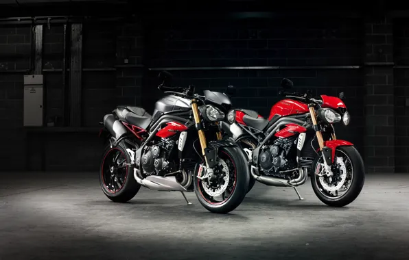 Garage, motorcycle, two, Triumph, 2016, speed triple r