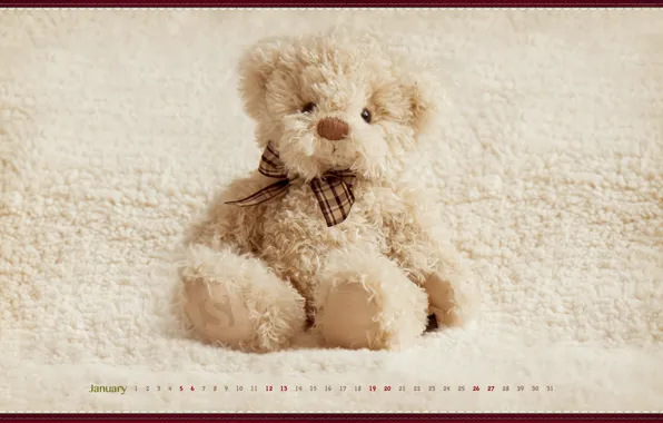 Toy, bear, calendar, 2013, january, January