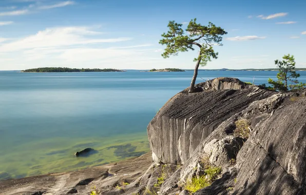The sky, trees, lake, rocks, shore, island
