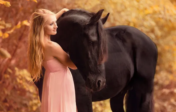 Picture girl, mood, horse