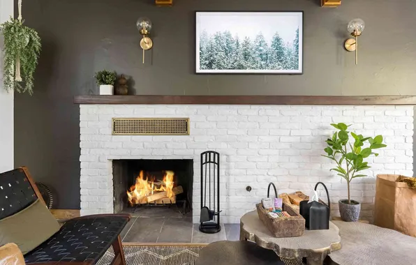 Design, style, heat, room, interior, plants, picture, chair