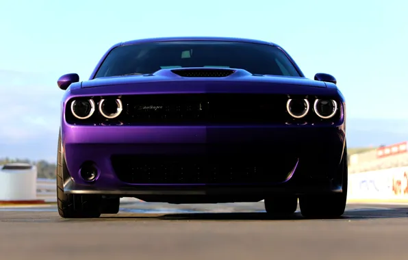 Dodge, Challenger, Widebody, Scat Pack, Challenger RT, 2019