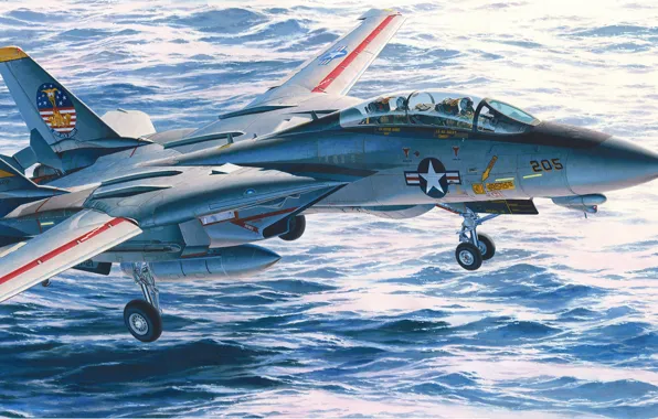 Tomcat, US NAVY, the fourth generation fighter, F-14A, jet multi-purpose, Grumman Corporation, Double all-weather fighter-interceptor