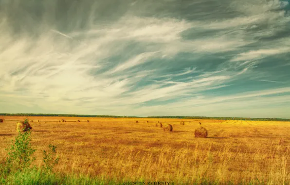 Picture landscape, nature, Wallpaper, gevgeniy