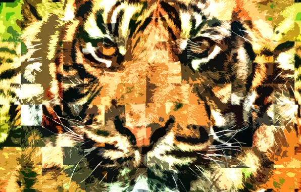 Look, Tiger, Mustache, Face, Predator, Blur, Big cat
