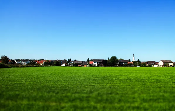 Picture field, the sky, grass, blue, village
