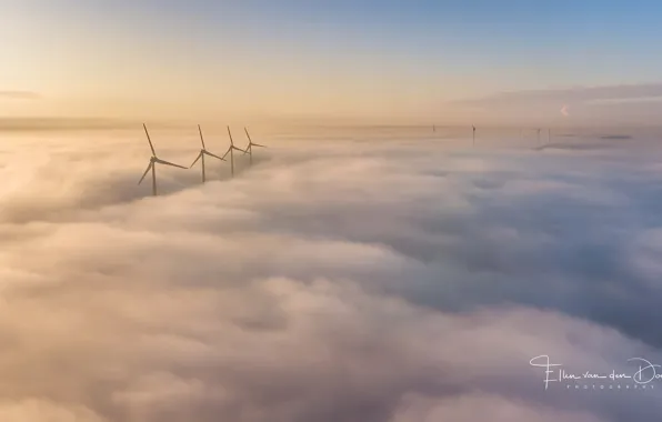 The sky, windmills, obloka