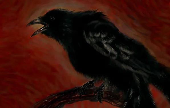 Picture figure, branch, Raven