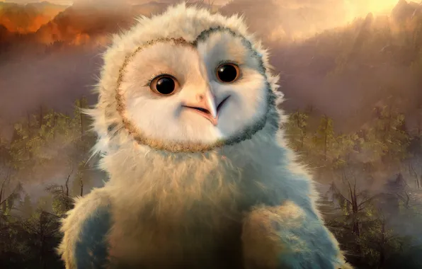 Sunset, owl, owlet, legend of the guardians