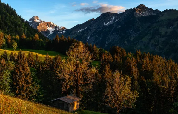 Picture summer, mountains, house