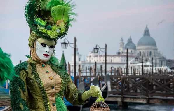 Picture Italy, costume, Venice, carnival, 2015