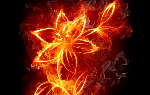 Flower, fire