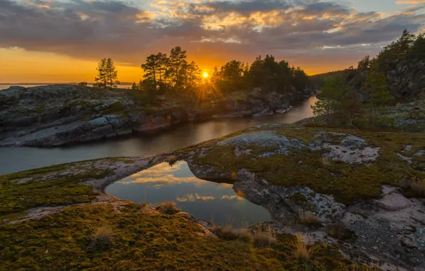 Picture sunset, shore, pond