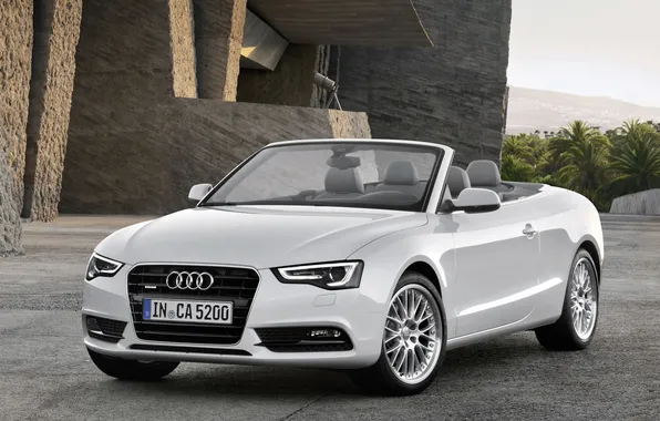 Picture Audi, Auto, White, Machine, Convertible, The hood, Day, Lights