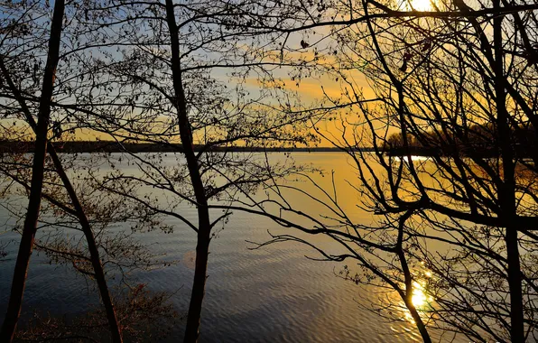 The sky, clouds, trees, sunset, lake, reflection