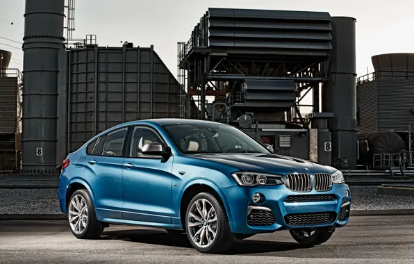 Plant, view, BMW, 2015, M40i