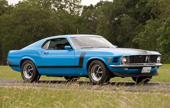 Picture road, blue, Mustang, Ford, Ford, Mustang, Boss 302, 1970